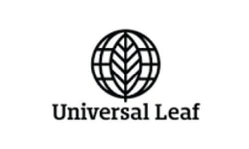 yuzedata-logos_0003_Universal Leaf